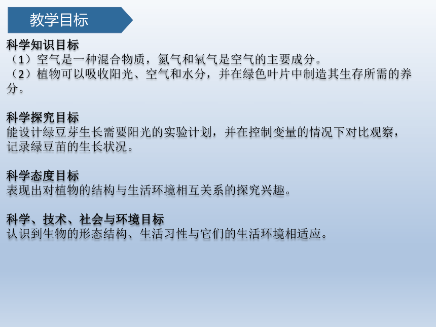 教科版（2017秋）小学科学2.3  五年级下册 绿豆芽的生长 课件  (共19张PPT)