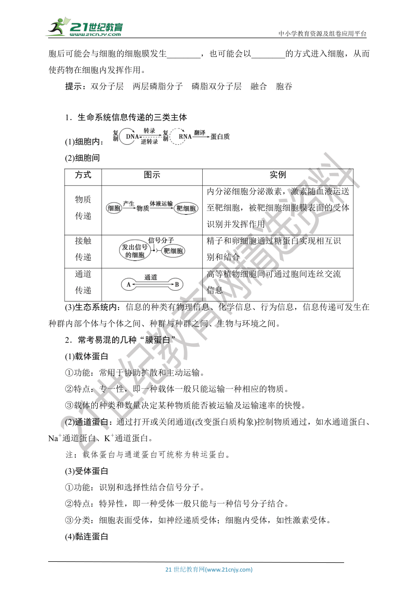 【考点梳理  生物总复习 】6第4讲　细胞膜与细胞核（Word版含答案）