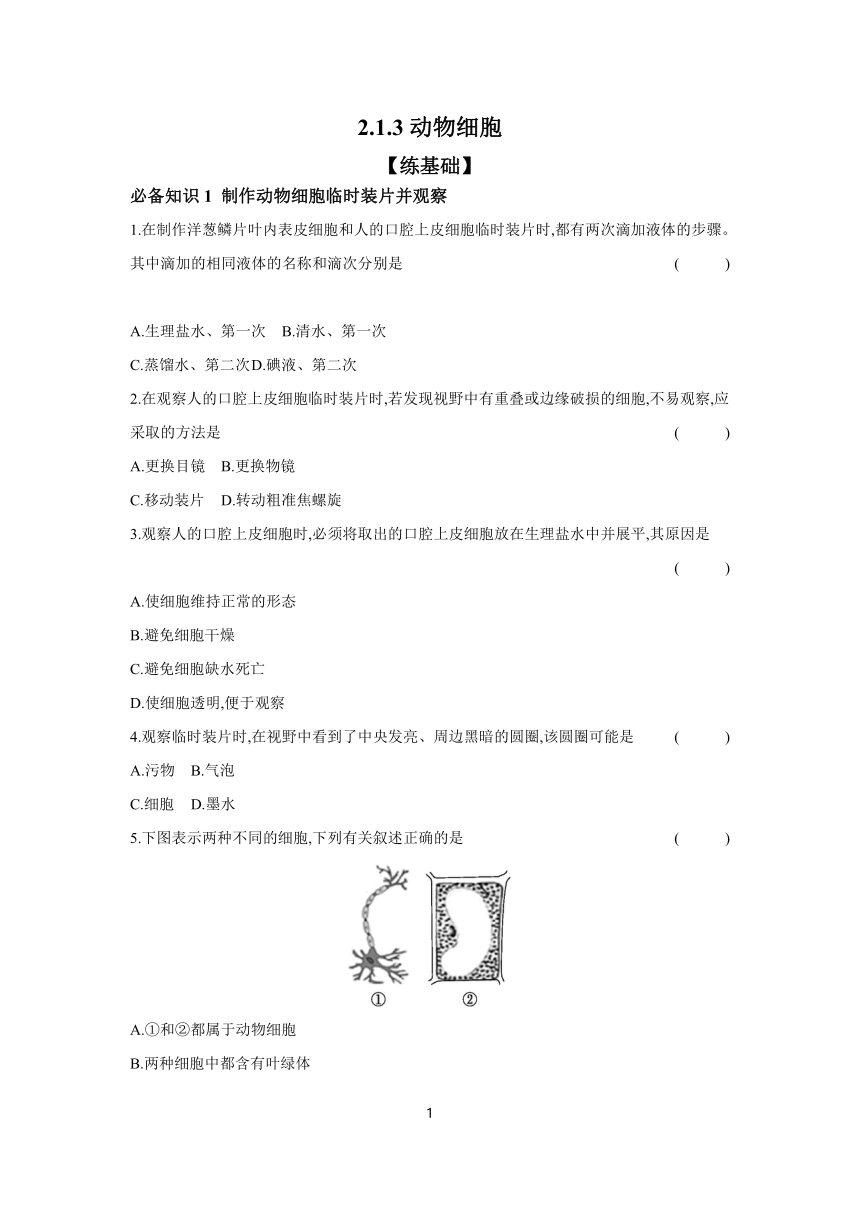 2.1.3动物细胞 课时提高练（含答案）2023-2024学年生物人教版七年级上册