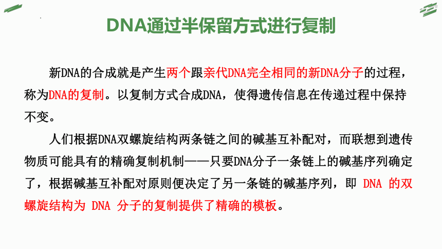 3.3 DNA通过复制传递遗传信息(共30张PPT)-高一生物课件（浙科版2019必修2）