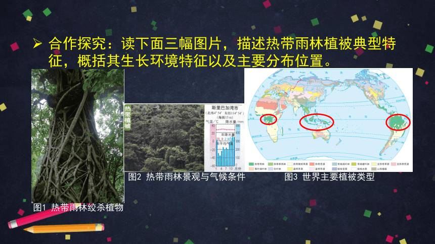 第七节 植被与自然环境的关系课件（26张）