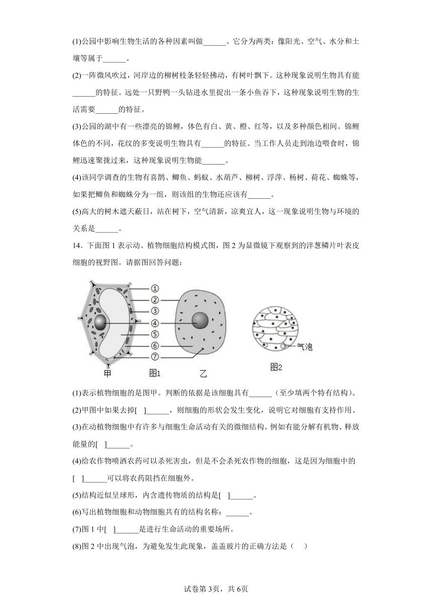 辽宁省沈阳市沈北新区2022-2023学年七年级上学期期中生物试题(含答案)