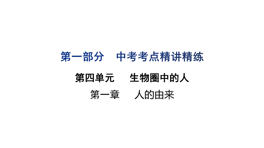 第四单元  第一章  人的由来-2023年中考生物复习课件（人教版）(共18张PPT)