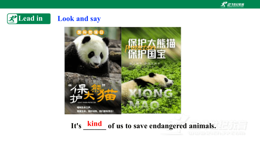 【新课标】Unit 5 save the endangered animals period 3 Grammar课件