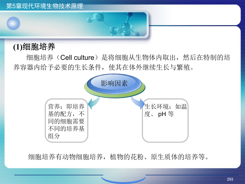 5.现代环境生物技术原理_11 课件(共29张PPT)- 《环境生物化学》同步教学（机工版·2020）