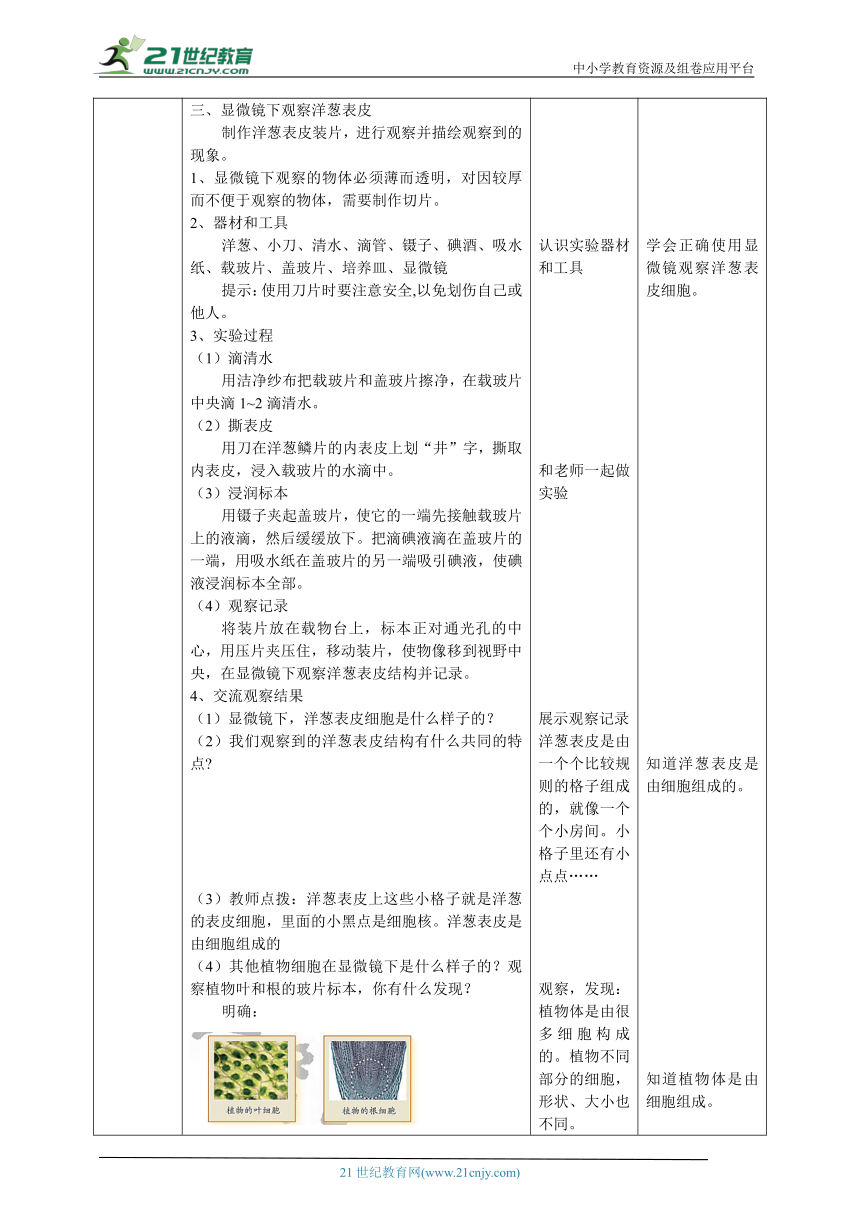 【核心素养目标】1.1《显微镜下的细胞》教案