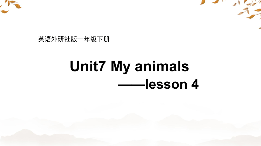 Unit7 My animals Lesson4 课件(共16张PPT)