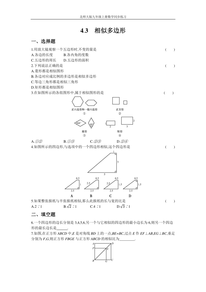 北师大版九年级上册数学同步练习4.3 相似多边形(Word版 含答案 )