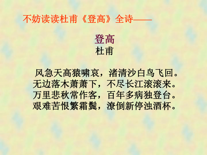 9.《说“木叶”》课件（共47张PPT）2022-2023学年统编版高中语文必修下册