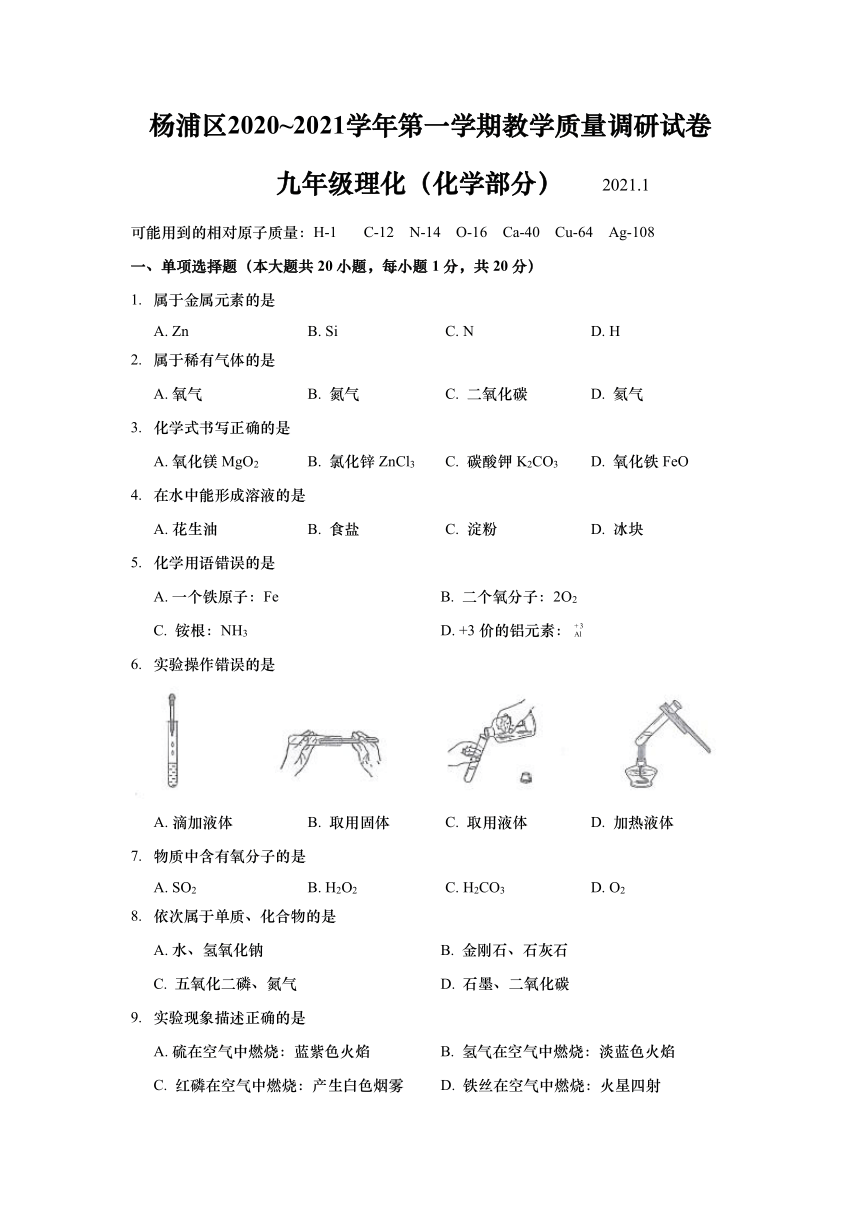 上海市杨浦区2020-2021学年九年级上学期期末(中考一模）质量调研化学试卷（pdf版含解析）