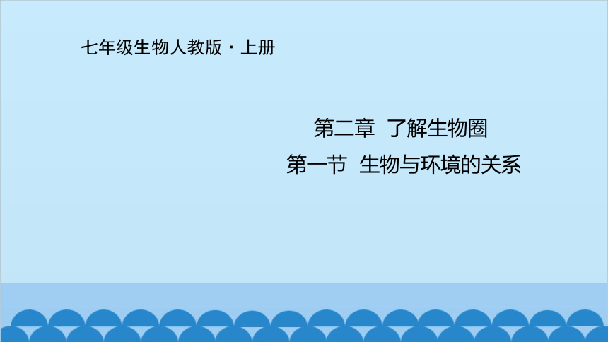 人教版生物七年级上册 第一单元第二章第一节 生物与环境的关系课件(共21张PPT)