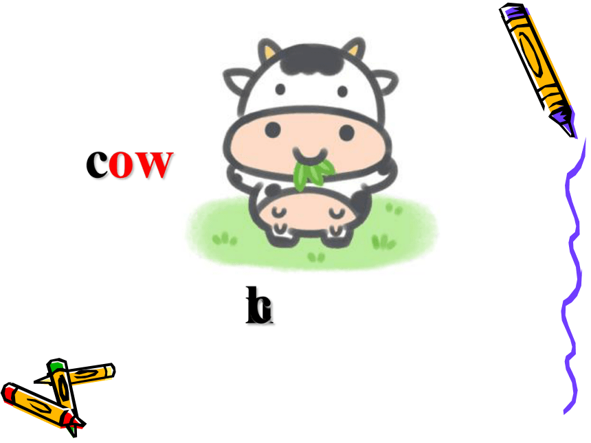 Module3 Unit2 The cows are drinking water. 课件(共32张PPT)