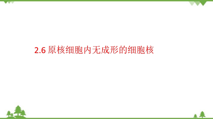 高中生物浙科版（2019）必修一2.6原核细胞内无成形的细胞核课件（1）(共15张PPT)