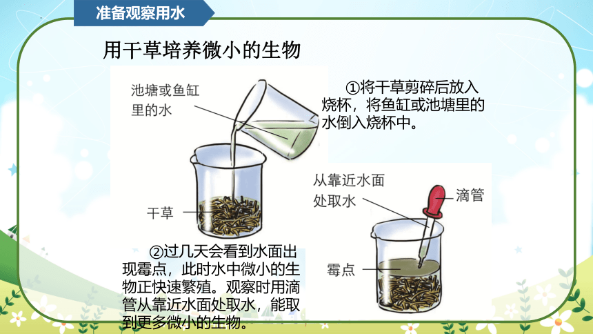 教科版（2017秋）小学科学六年级上册 1.6观察水中微小的生物（课件 共23张PPT）