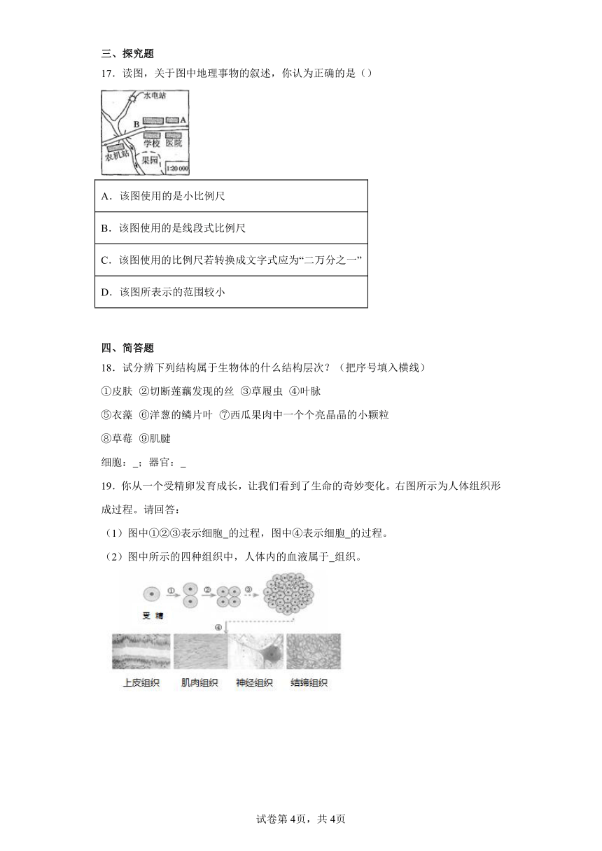 第五章 地球 同步训练  华东师大版科学七年级上册（含解析）