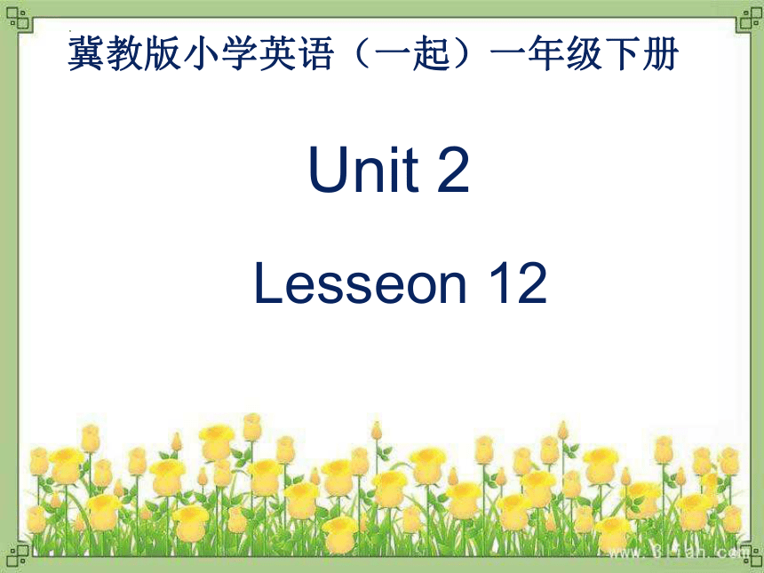 Unit 2 Lesson 12 I Love My Family!课件(共23张PPT)