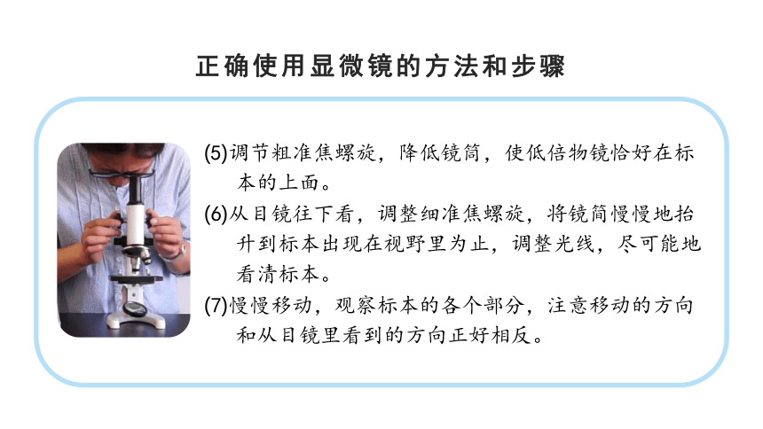 教科版（2017秋）六年级上册科学1.3 观察身边微小的物体 （课件17张ppt）