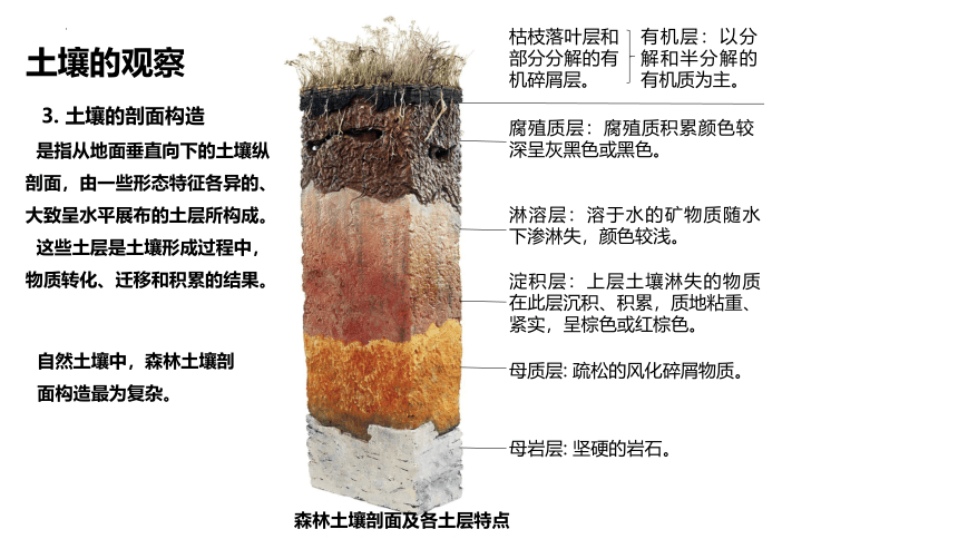 5.2土壤课件（共34张ppt）