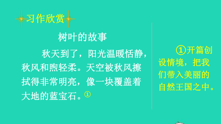 部编版六年级语文上册《习作：变形记》课件（共17张PPT）