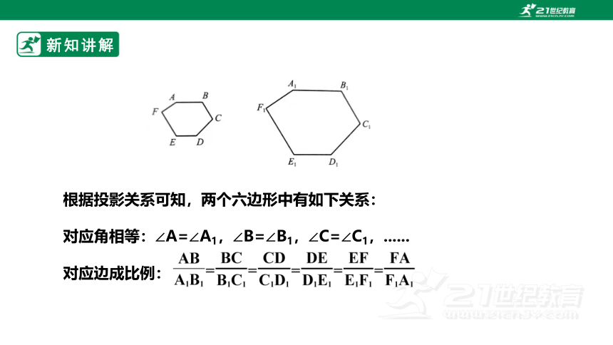 【新课标】4.3相似多边形 课件（共24张PPT）