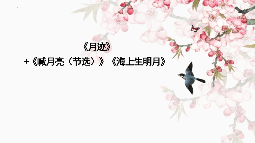 24《月迹》 课件 (共20张PPT)