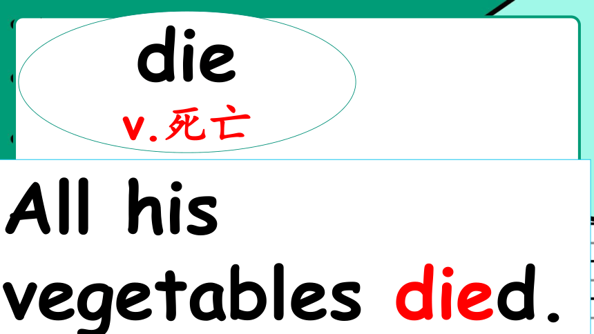 教科版（广州）英语六年级下册 Module 1 Unit  2 Waiting for another hare 课件（共47张PPT）