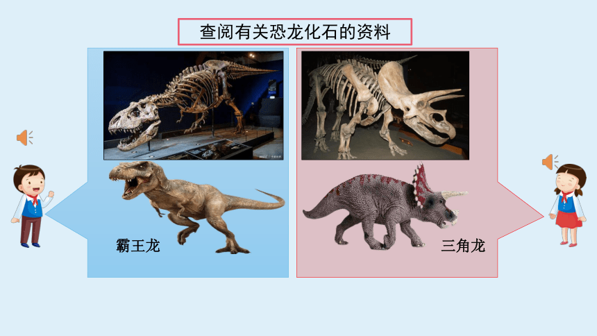 教科版六年级科学下册6 古代生物的多样性 （课件）(共34张PPT)