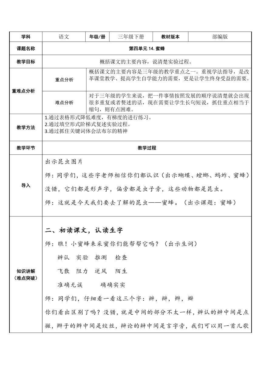 14 蜜蜂   表格式教案