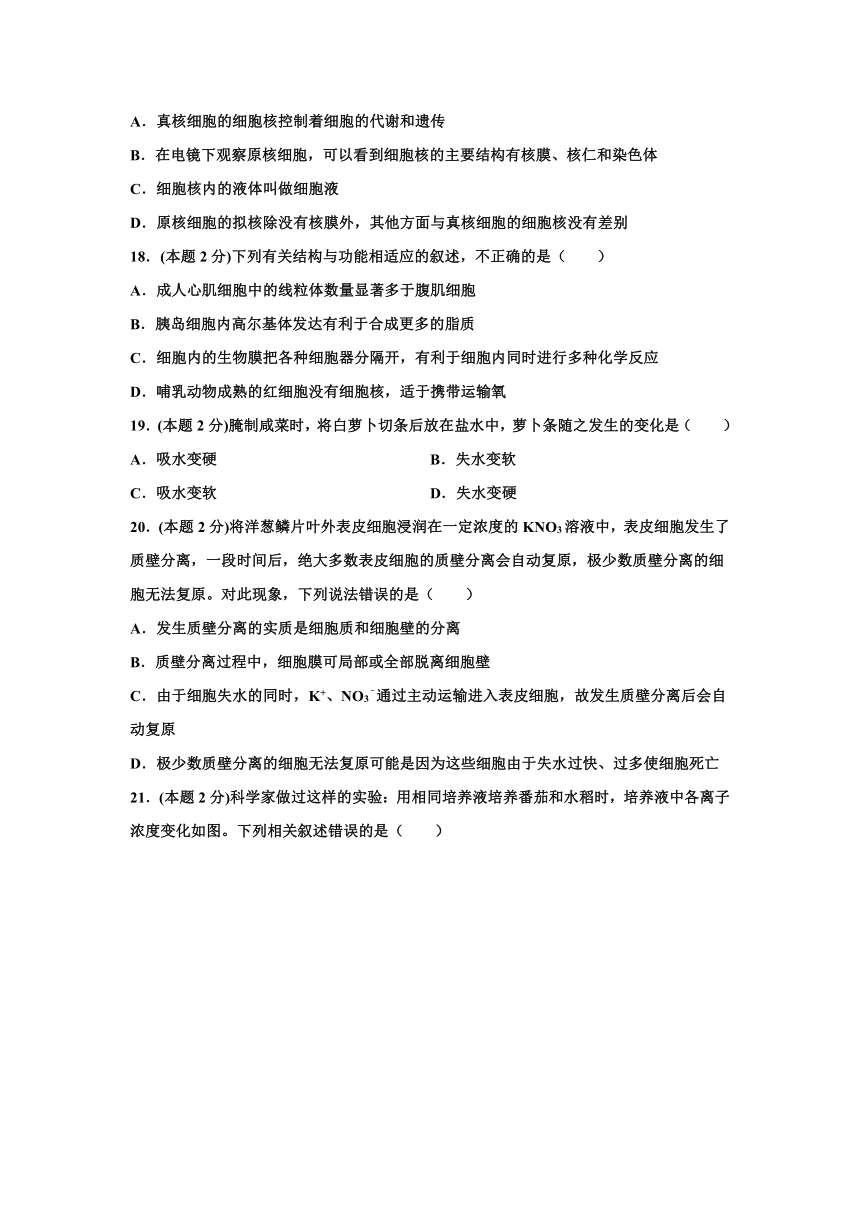 河南省新乡市原阳县第三高级中学2021-2022学年高一上学期期中考试生物试卷（Word版含答案）