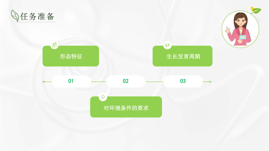 7.1西瓜生物学特性 课件(共22张PPT)-《蔬菜生产技术》同步教学（湖南科技出版社）