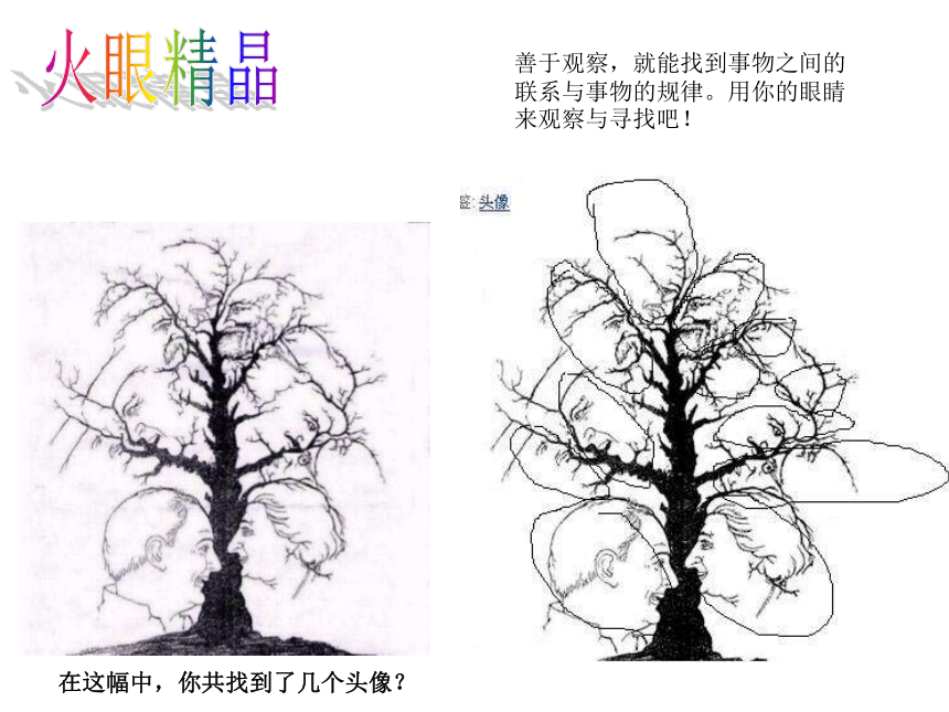 六年级下册心理健康教育课件-第四课 探索发现乐趣多｜ 辽大版 (共8张PPT)