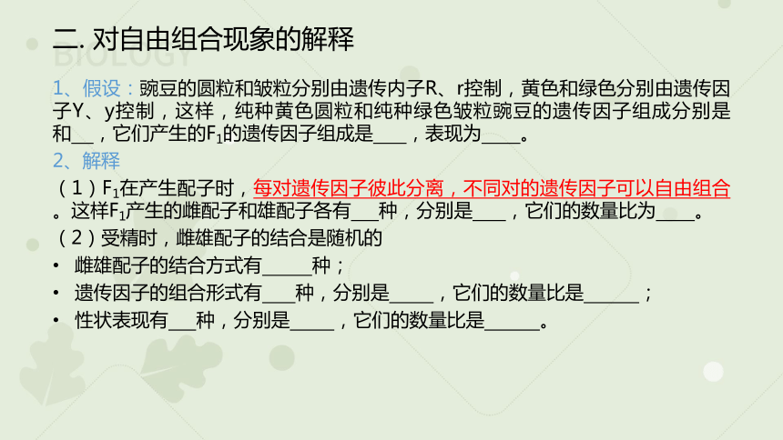 高中生物人教版（2019）必修二1.2 孟德尔的豌豆杂交实验（二）（教学课件）（14张ppt）