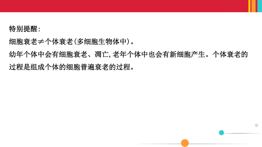 （新人教）生物必修一课件：6.3细胞的衰老和死亡(共35张PPT)