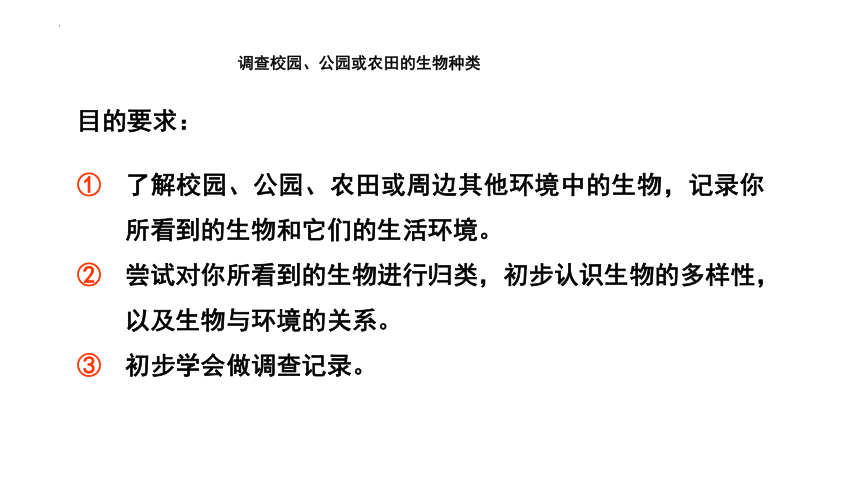 1.1.2调查周边环境中的生物课件(共23张PPT)2022--2023学年人教版七年级生物上册