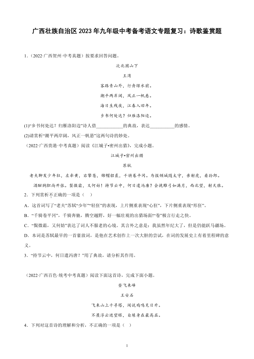 广西壮族自治区2023年九年级中考备考语文专题复习：诗歌鉴赏题（含解析）