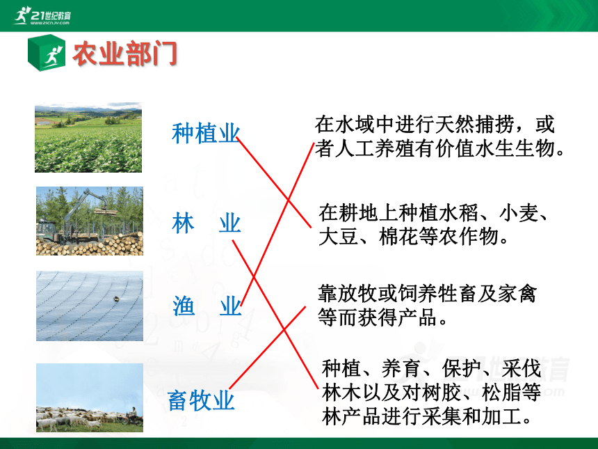 八年级上  第四章 第二节 农业课件（共27张PPT）