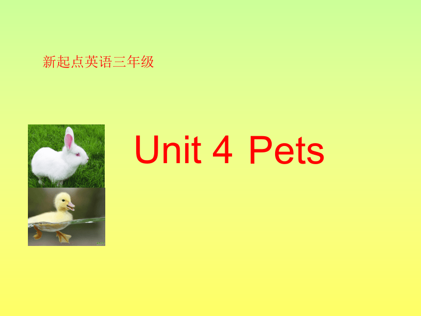 Unit4 Pets Lesson1 课件（21张PPT）