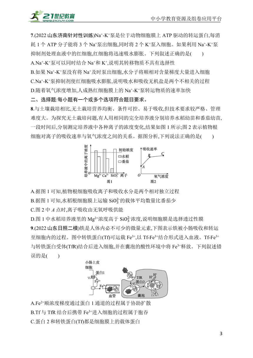 高中生物课时规范练6　物质跨膜运输的方式(学生版含答案详解)