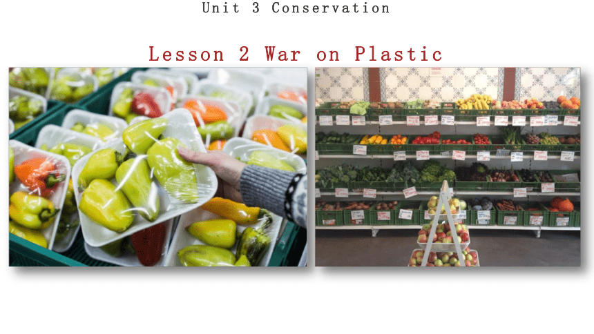 北师大版（2019） 选择性必修 第一册 Unit 3 Conservation Lesson 2 War on Plastic Packets课件（20张PPT）