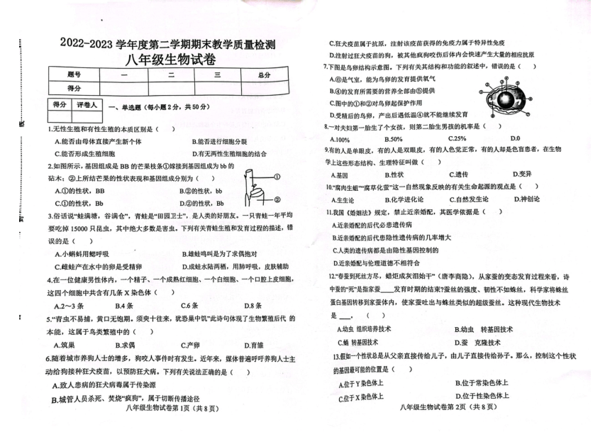河北省邯郸市永年区2022--2023学年八年级下学期期末质量检测生物试卷 （pdf版 含答案）