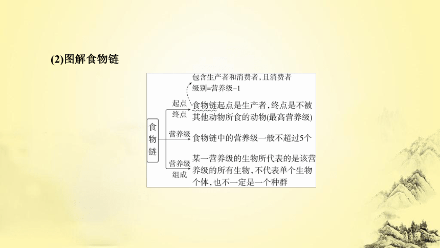 新人教生物二轮复习课件13 生态系统和环境保护(课件共54张PPT)