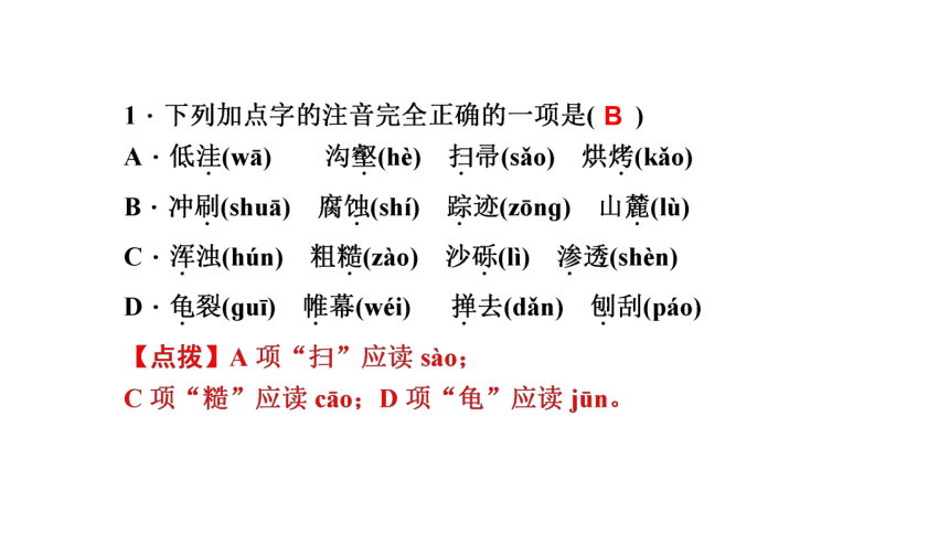 8 时间的脚印 讲练课件—四川省2020-2021学年八年级下册语文部编版（26张PPT）