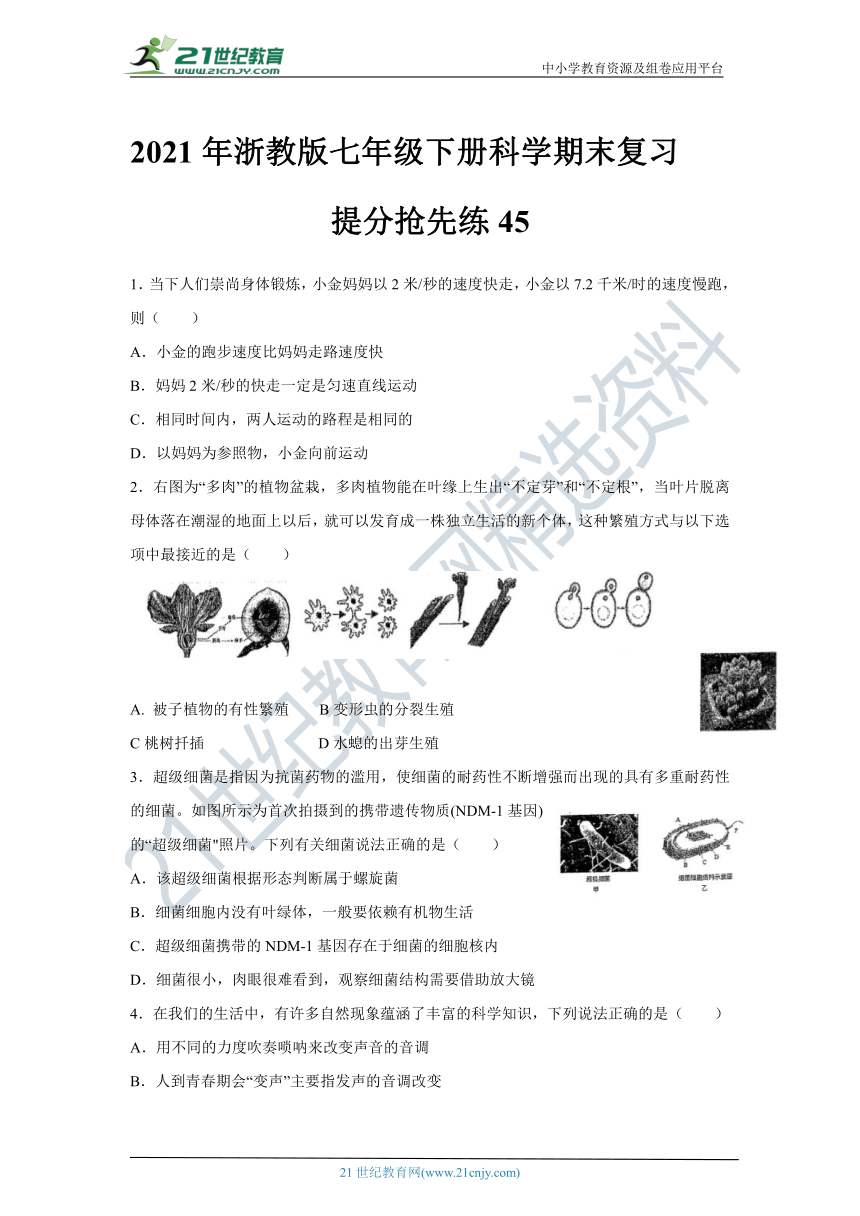 2021年浙教版七年级下册科学期末复习-提分抢先练45（含答案）