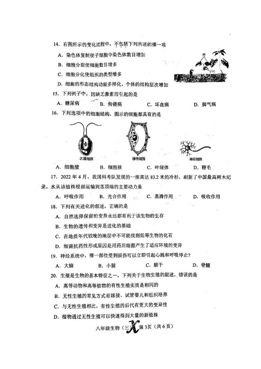 2023年河南省南阳市内乡县三模生物试题（50分制）（无答案）