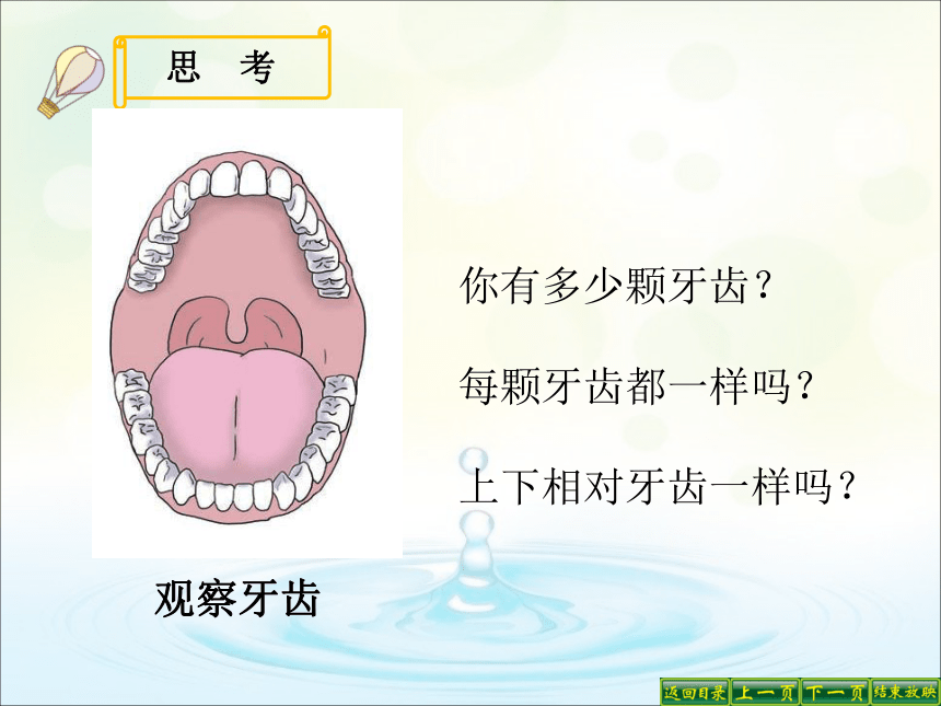 教科版（2017秋）四年级科学上册2.7.食物在口腔里的变化（课件16张ppt）