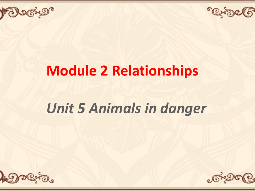 Module 2  Unit 5 Animals in danger 课件(共14张PPT)