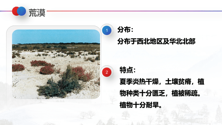 2022-2023学年人教版生物七年级上册 3.6 爱护植被  绿化祖国  课件 (共21张PPT)