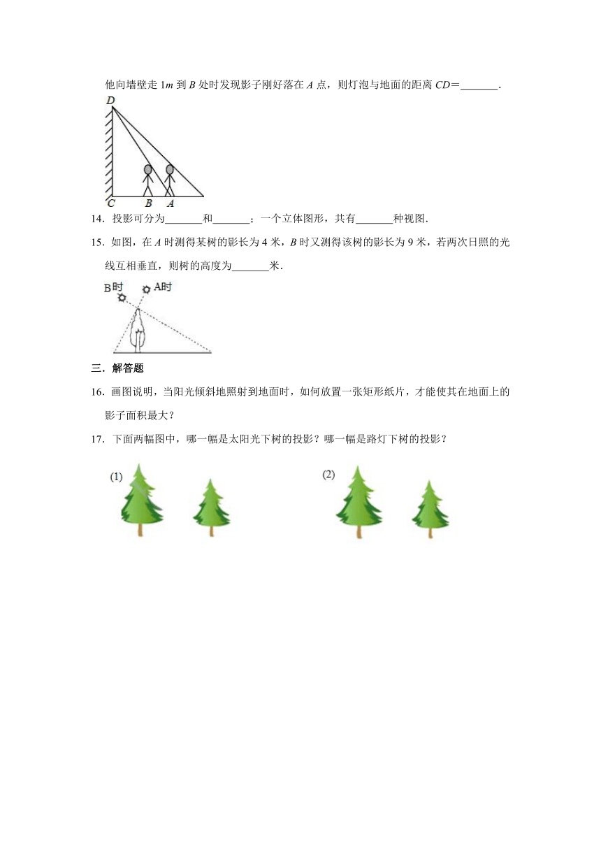 北师大版九年级上册数学 5.1投影 同步习题（Word版 含解析）