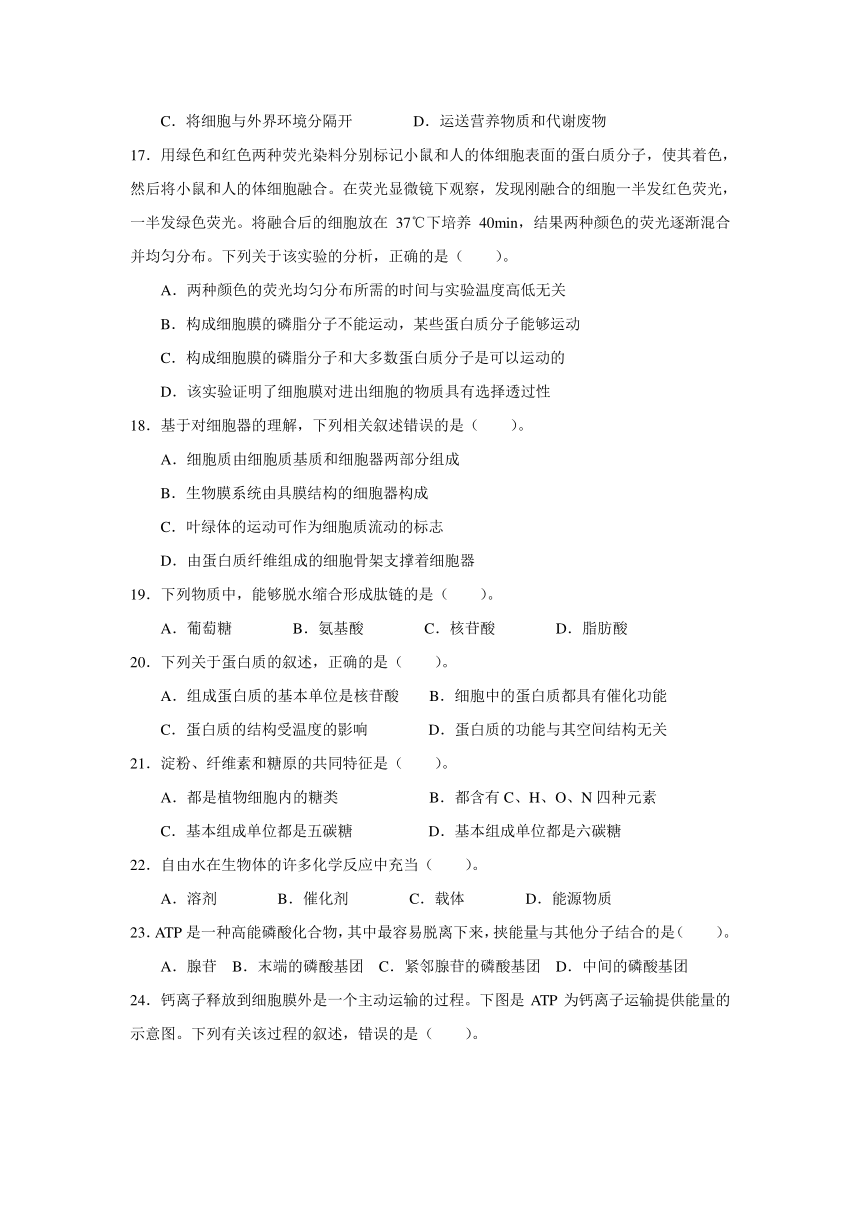 吉林省吉林市江城高级中学校2021-2022学年高一上学期期中考试生物试卷（Word版含答案）