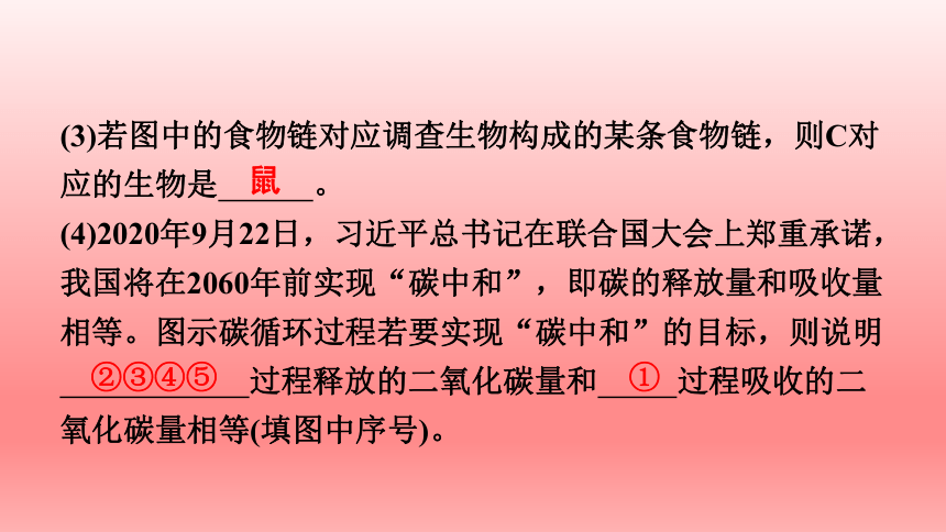 2023年人教版七年级生物上册复习课件 (共22张PPT)读图理解